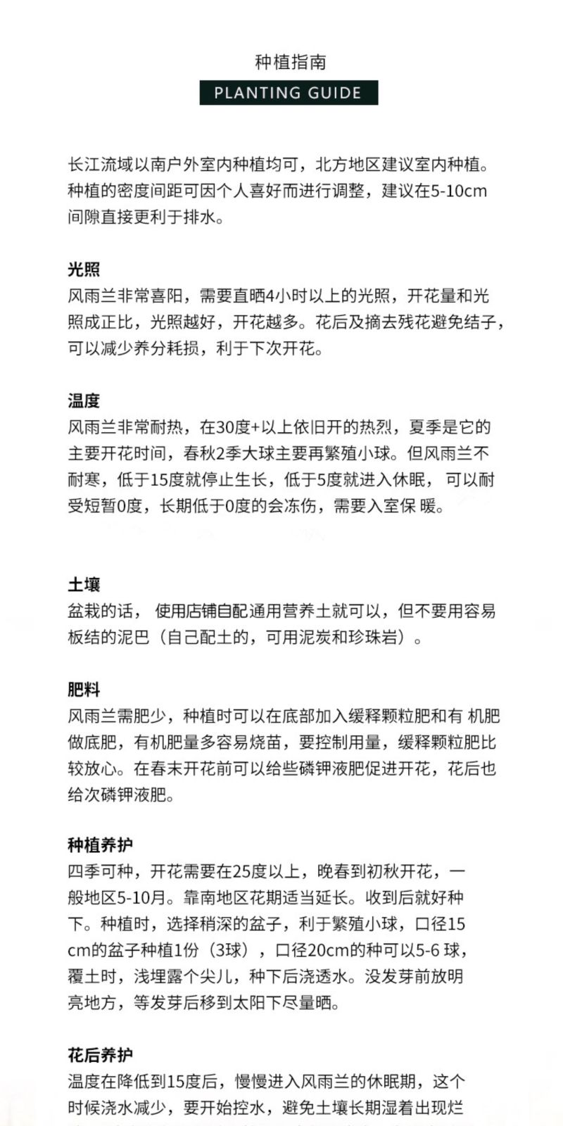 风雨兰种球四季易种花草葱兰韭兰花子阳台盆栽室内外植物花卉