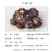彩色马蹄莲种球带芽好养易活阳台室内耐寒盆栽花卉植物多年生