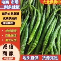 二荆条辣椒，鲜辣椒，产地一手货源，规格齐全，电联价格可谈