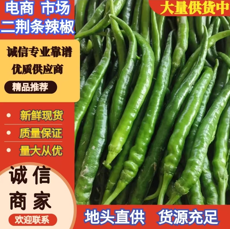 二荆条辣椒，鲜辣椒，产地一手货源，规格齐全，电联价格可谈