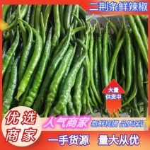 鲜辣椒甘肃二荆条辣椒产地一手货源，电联价格可谈，视频看货