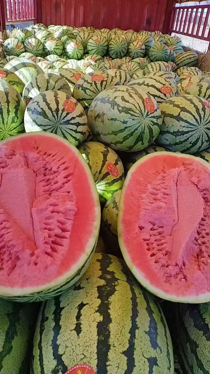 甘肃靖远硒砂瓜