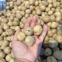 纸皮核桃一手货源产地直发价格美丽欢迎联系沟通