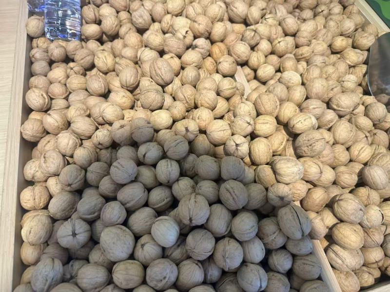 纸皮核桃一手货源产地直发价格美丽欢迎联系沟通