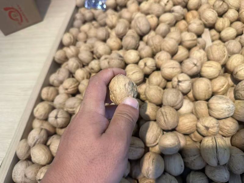 纸皮核桃一手货源产地直发价格美丽欢迎联系沟通