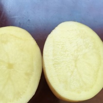 精品土豆，品种齐全，货源充足，可视频看货，量大从优，欢迎选购