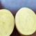 河南土豆沃土五号等，品种齐全，价格实惠，对接各大批发市场