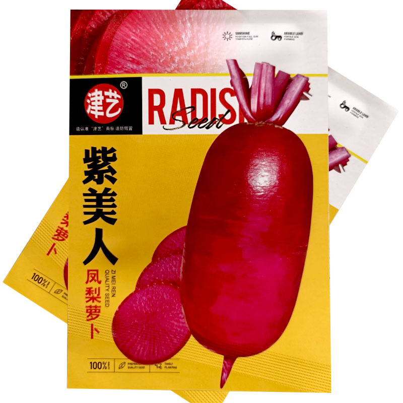紫美人凤梨萝卜种子紫皮紫肉65天无辣味大田基地