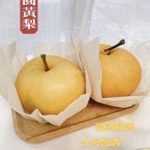 精选套袋圆黄梨，肉汁细腻，果型端正，表光干净：全国代发