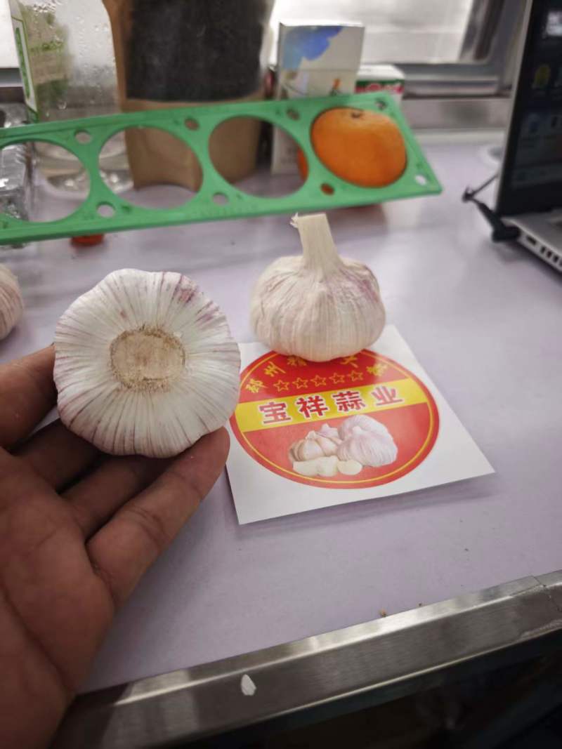 邳州大蒜网袋串串蒜颗粒饱满承接电商一串五六个全国接单