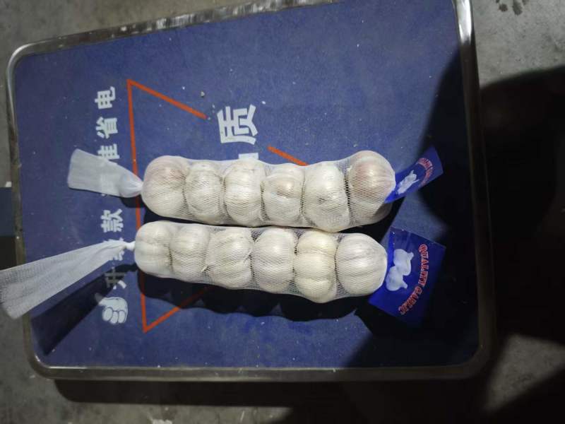 邳州大蒜网袋串串蒜颗粒饱满承接电商一串五六个全国接单