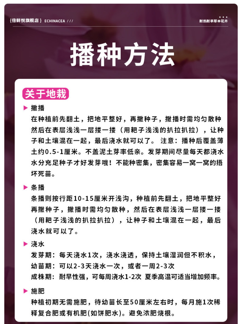 格桑花波斯菊花种子格桑花种子混色盆栽播种开花易活庭院花种