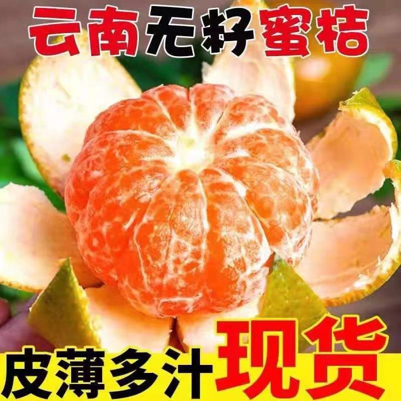 【畅销榜】云南青皮蜜橘柑橘产地一手货源电商团购市场对接