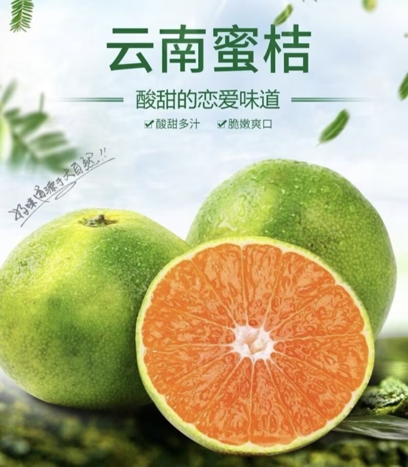【蜜橘】柑桔个大皮薄多汁适合外贸出口，市场，电商商超