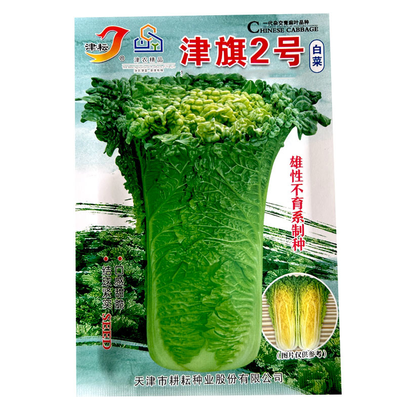 津旗2号白菜种子直筒矮桩青麻叶心黄结球紧实10g甜脆秋冬