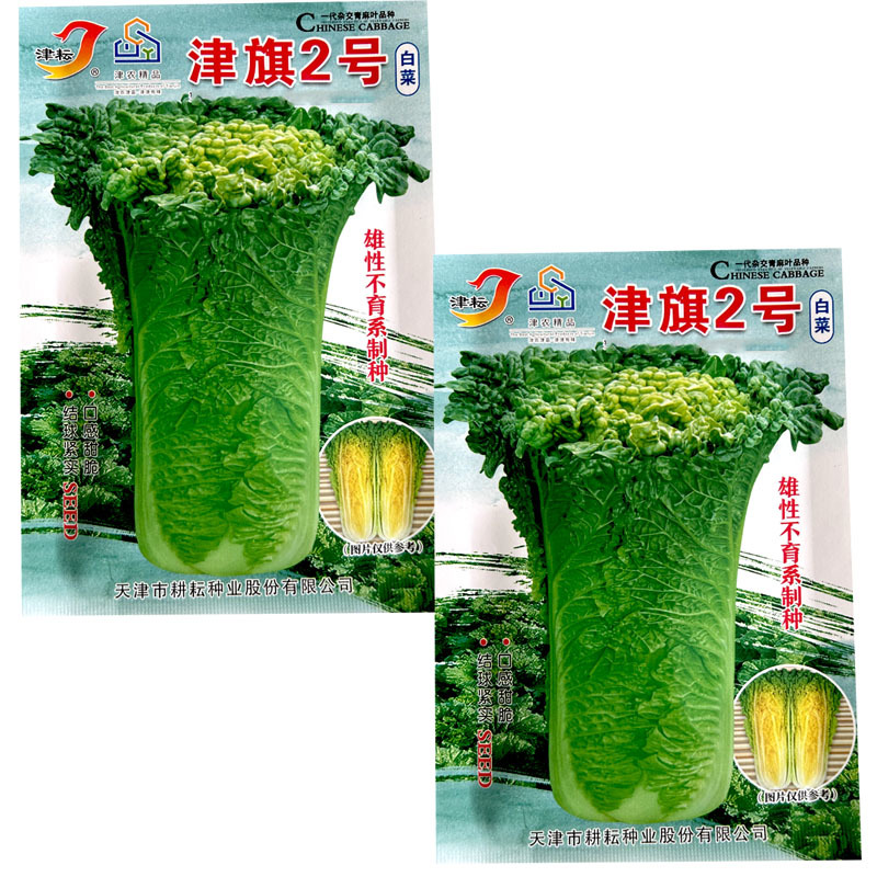 津旗2号白菜种子直筒矮桩青麻叶心黄结球紧实10g甜脆秋冬