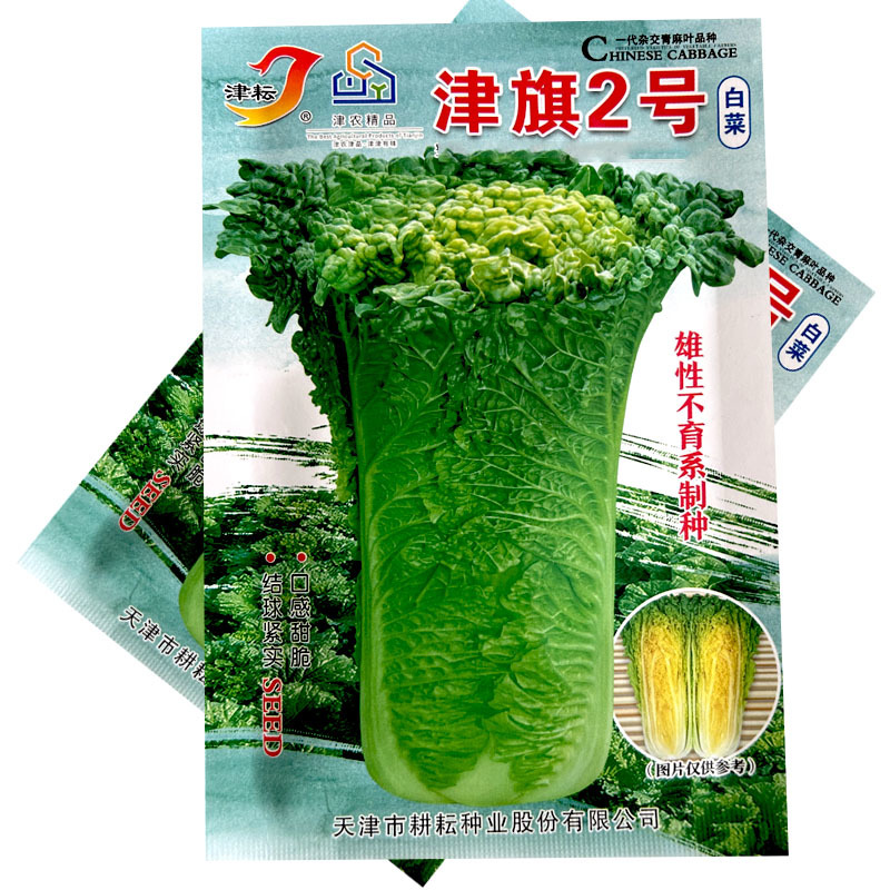 津旗2号白菜种子直筒矮桩青麻叶心黄结球紧实10g甜脆秋冬