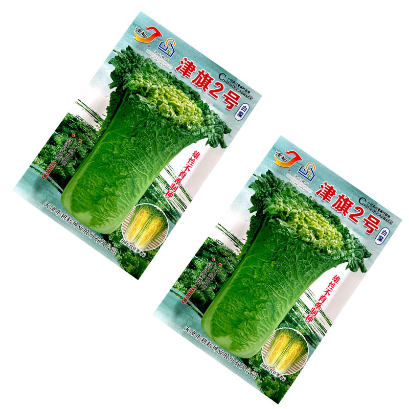 津旗2号白菜种子直筒矮桩青麻叶心黄结球紧实10g甜脆秋冬