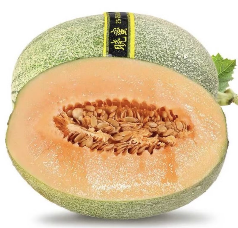 哈密瓜🍈晓蜜25哈密瓜好吃不贵产地直发品质保障先到先得