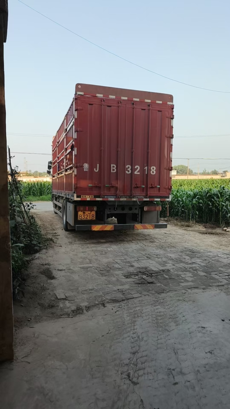 一家人小米质量保证价格优惠产地直发保质保量