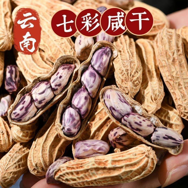 2026新货云南七彩花生水煮咸干晒干五彩花生龙岩湿烤奶油