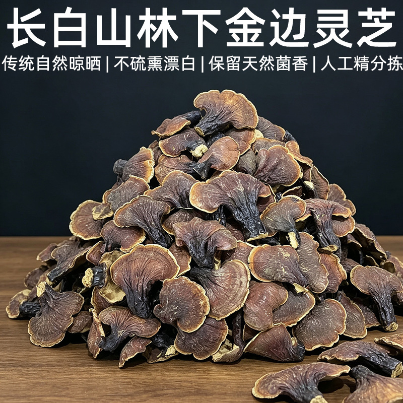 长白山林下灵芝金边灵芝批发大号白泡水煲汤整枝切片金边灵芝