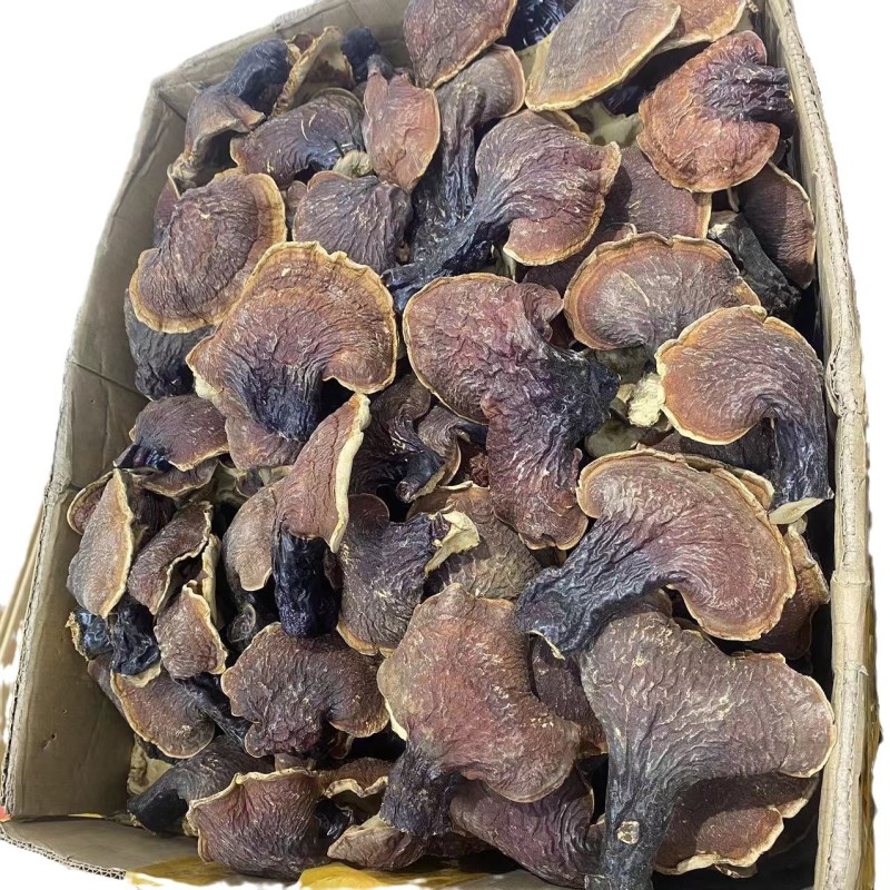 长白山林下灵芝金边灵芝批发大号白泡水煲汤整枝切片金边灵芝