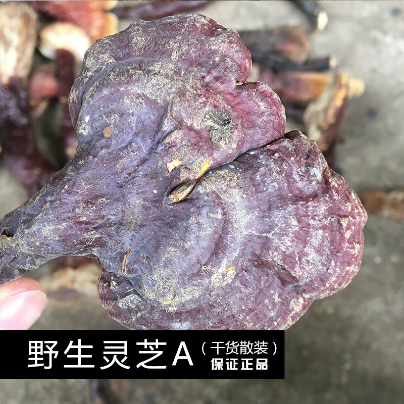 野生灵芝赤灵芝云南特产药材批发源头大货灵芝赤灵芝赤