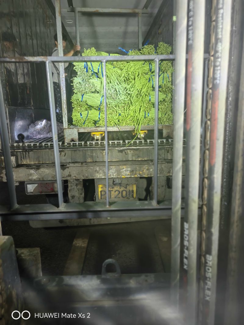 河南长豆角青条豆角基地直发对接电商市场商超可视频