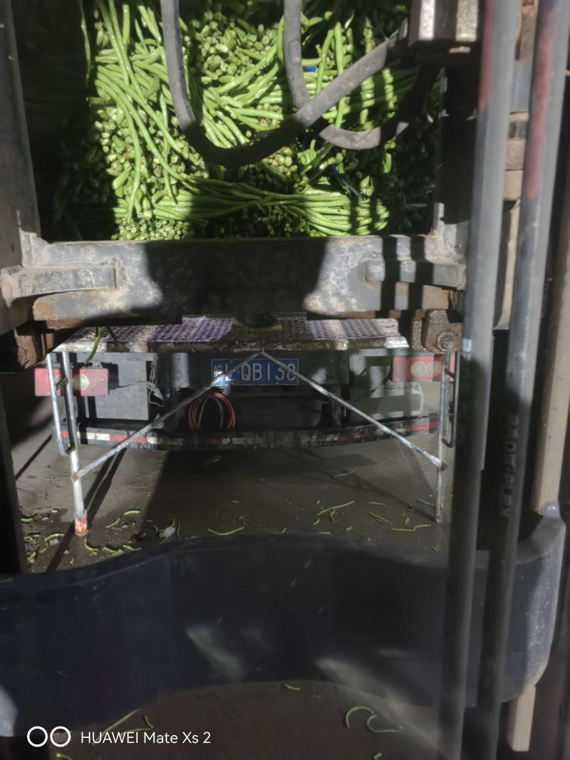 河南长豆角青条豆角基地直发对接电商市场商超可视频