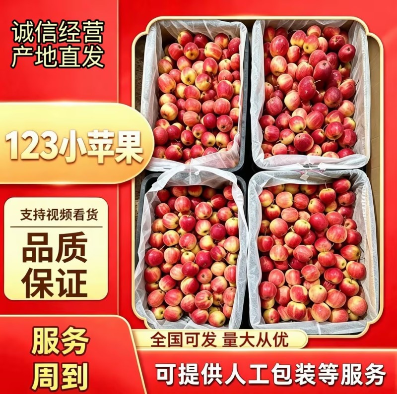 东北123小苹果