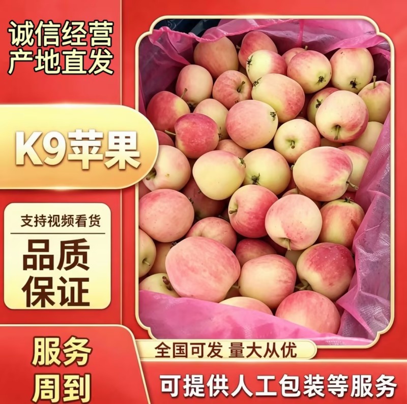 精品K9苹果/货源充足量大价优产地直发