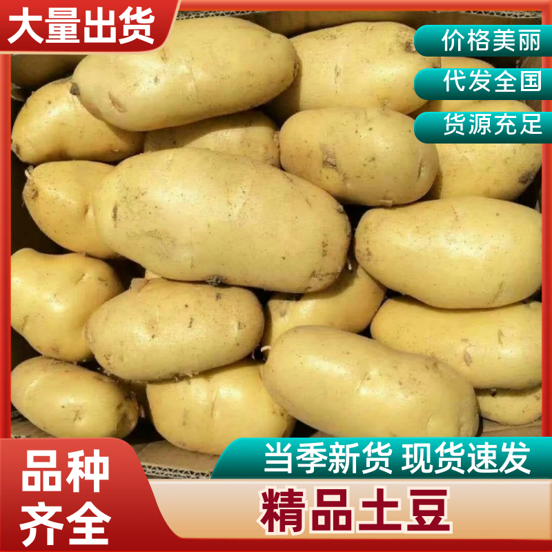 吉林实验一号土豆价格美丽软糯可口产地直发实验一号品种齐全