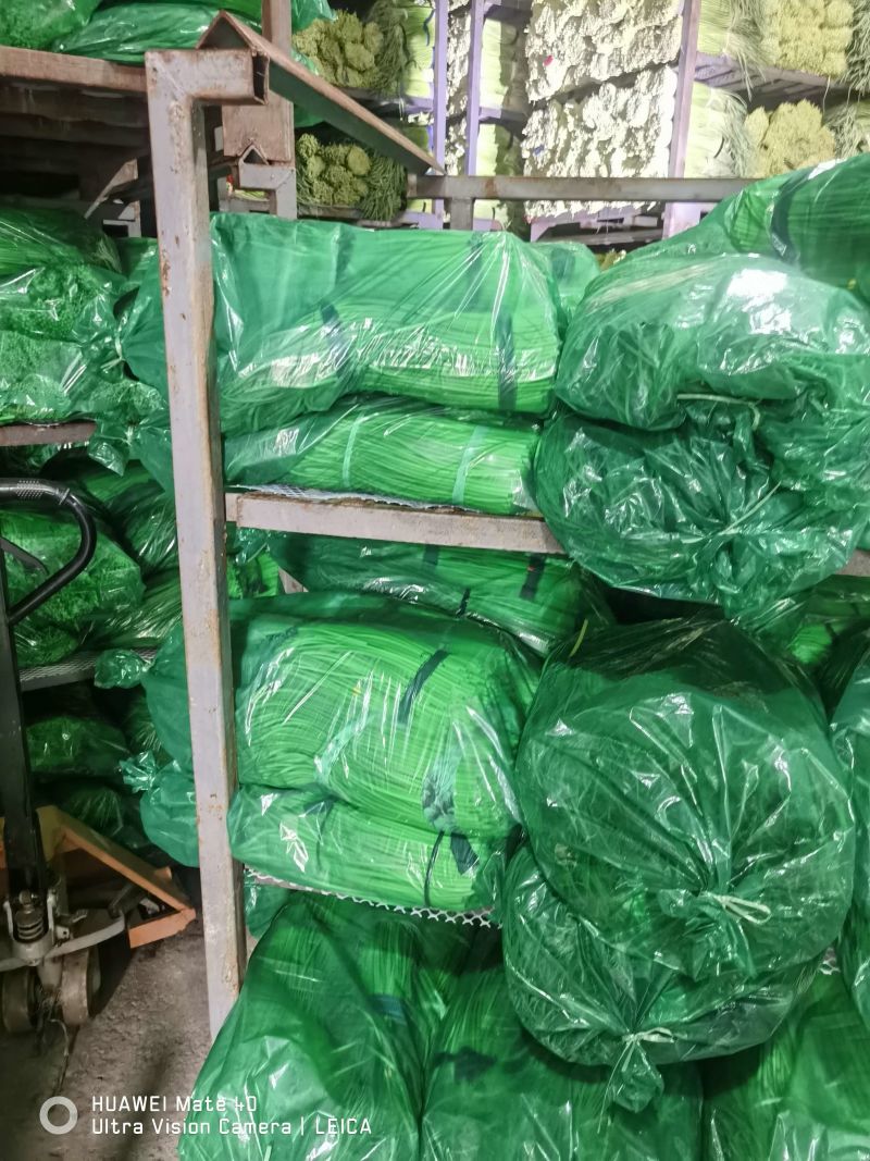 河南蒜薹精品红帽蒜薹产地直发全国供应可视频看货