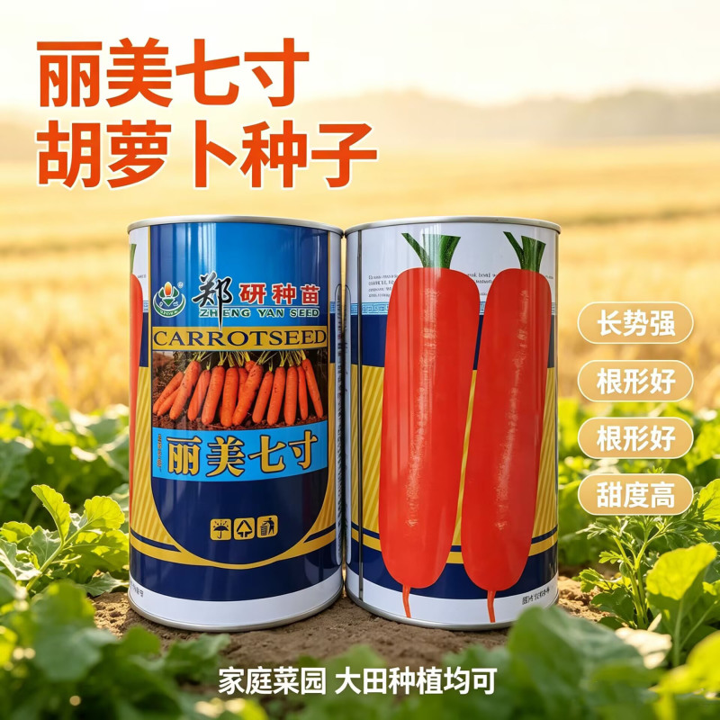 郑研丽美七寸参胡萝卜种子三红水果胡萝卜种籽表皮光亮脆甜高