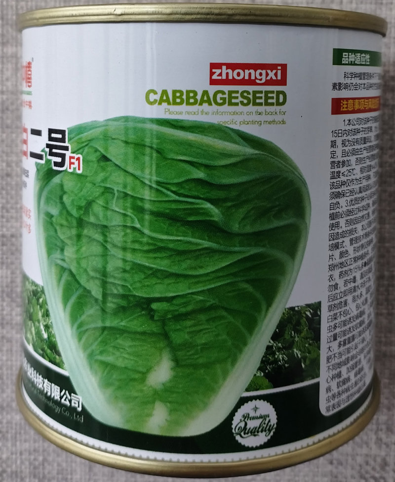 秦白二号大白菜种子中早熟杂交秋季白菜种籽结球紧实净菜率高
