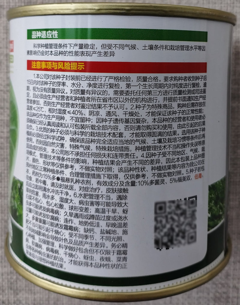 秦白二号大白菜种子中早熟杂交秋季白菜种籽结球紧实净菜率高