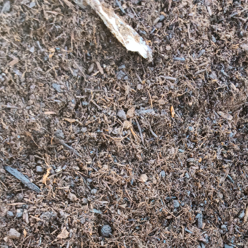 天然腐殖土