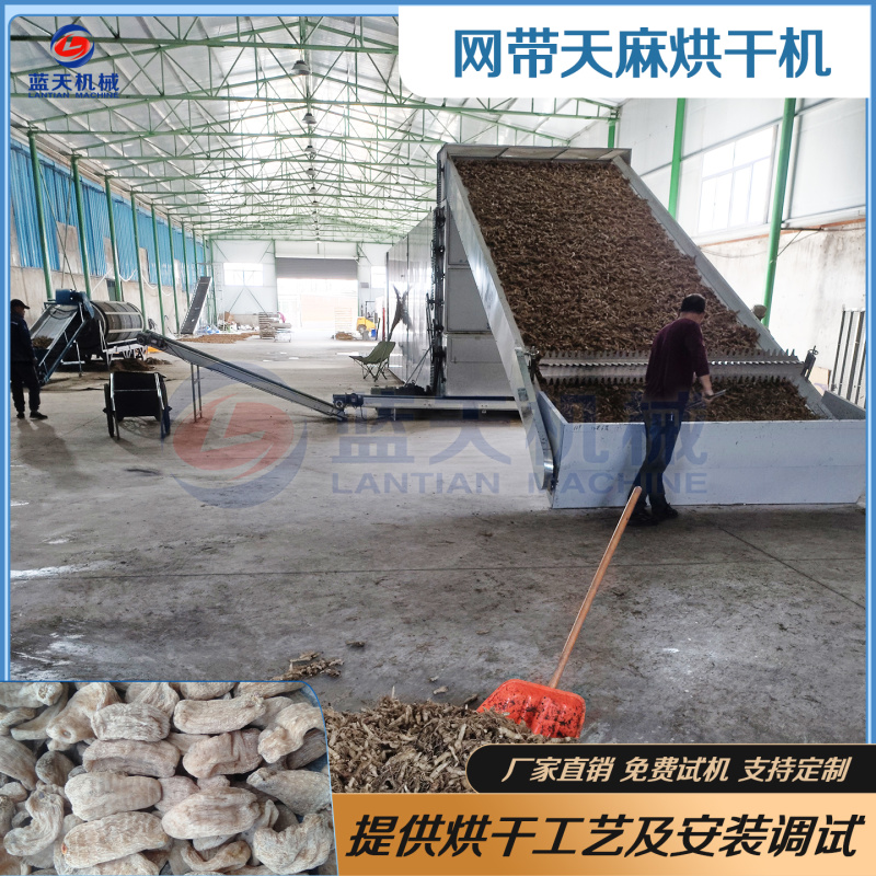 网带天麻烘干机云南乌天麻烘干设备天麻清洗切片烘干生产线