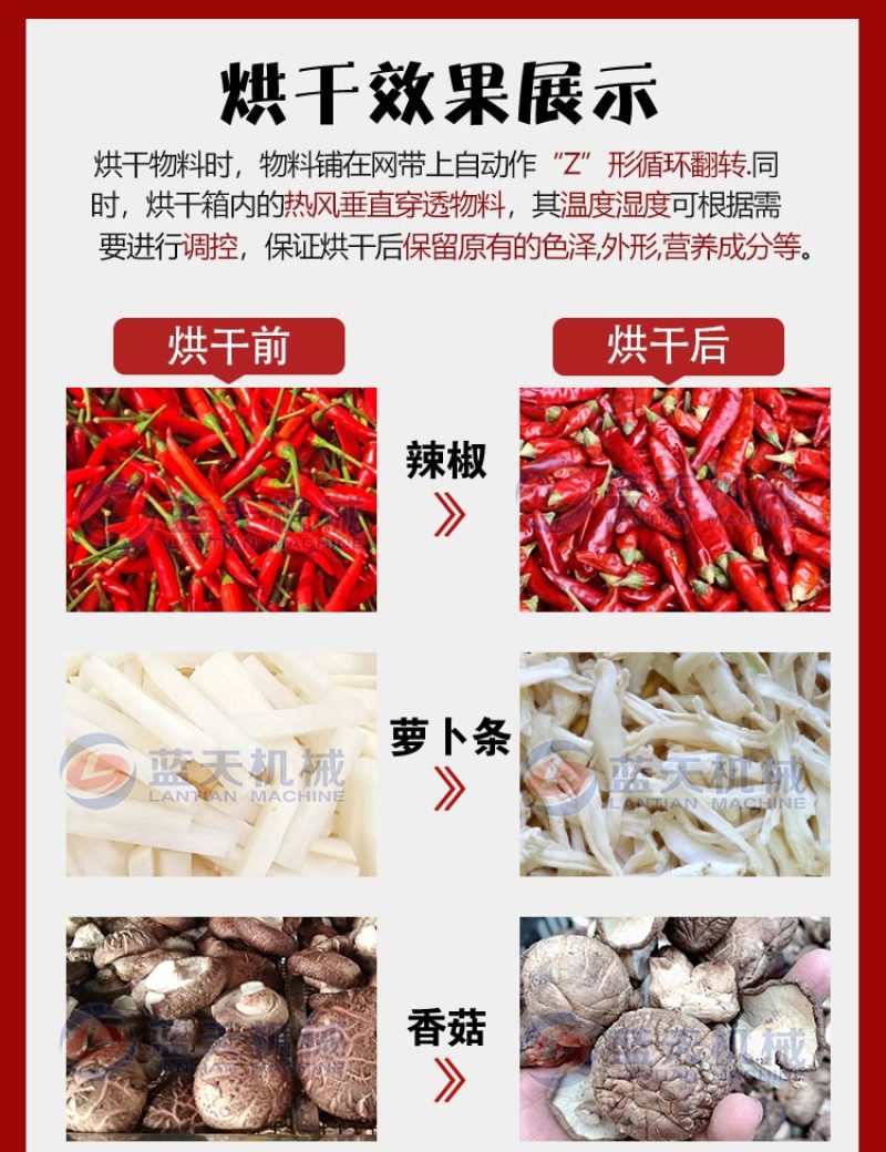 网带天麻烘干机云南乌天麻烘干设备天麻清洗切片烘干生产线