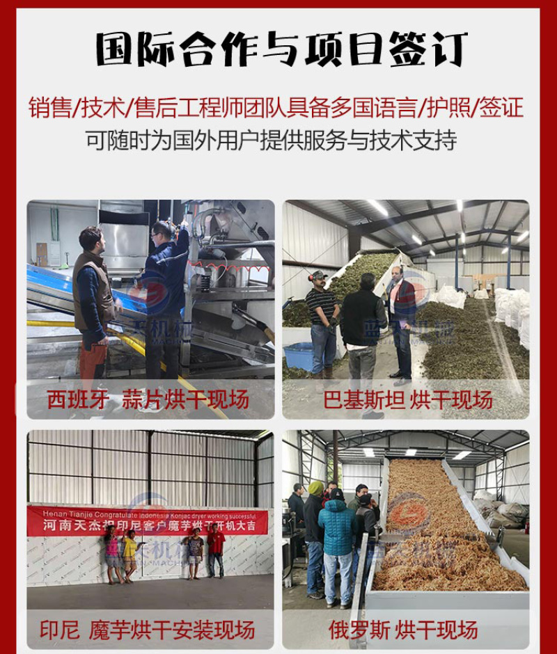 网带天麻烘干机云南乌天麻烘干设备天麻清洗切片烘干生产线