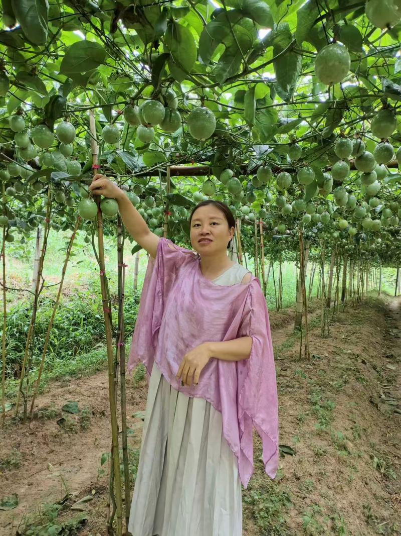 江西百香果量大可便宜谈欢迎来电咨询接受预定可视频看货
