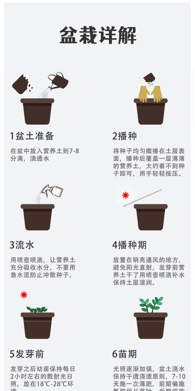 大丽花种籽多年生庭院阳台小花种子孑四季太阳花易活盆栽花卉
