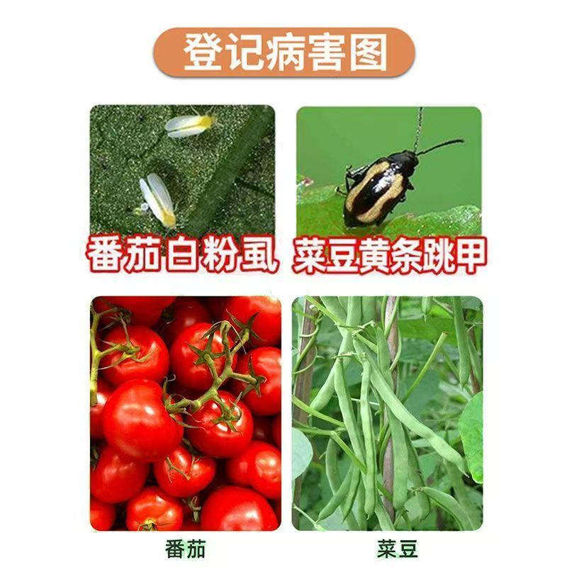 6%联菊啶虫脒联苯菊酯农用杀虫剂白粉虱黄条跳甲专用药小黑