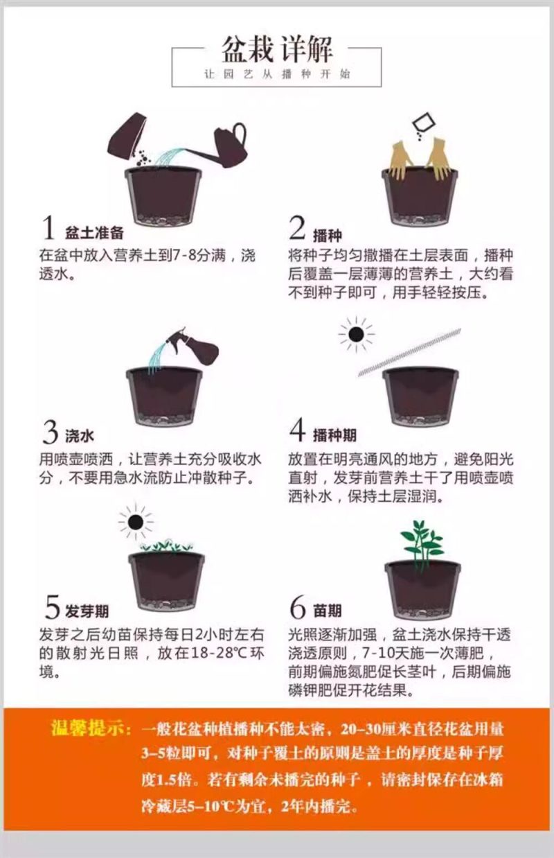 牵牛花种子喇叭花室外爬藤爬墙花卉混色开花盆栽易活播种种籽