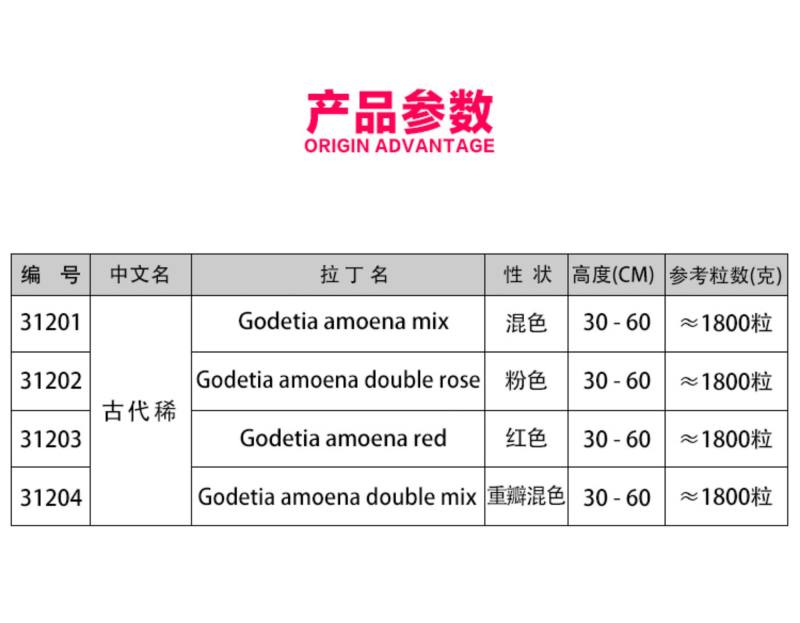 送春花籽孑晚春景年宵花四季播种开花庭院景观花卉盆栽