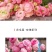 花毛茛种球土培室内室外种植耐寒盆栽多年生四季种植