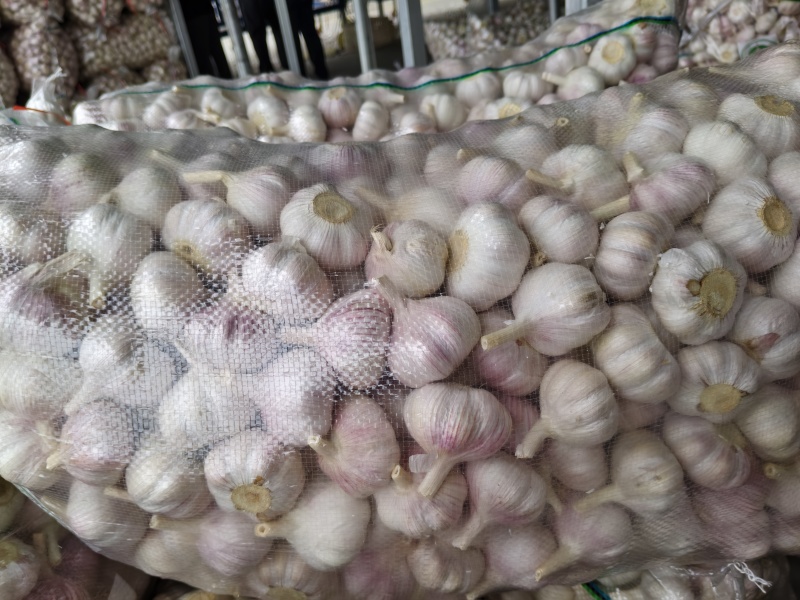 精品净蒜量大，大量干蒜，支持视频看货，可发往全国市场！