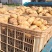 新土豆/黄心土豆价格可谈《荷兰系列，沃土，V7》产地直发