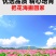波斯菊种子四季种植大花室外庭院格桑花野花组合花籽易活花种